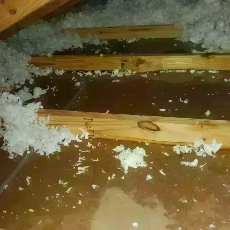 Attic Water Damage in Charlotte, NC