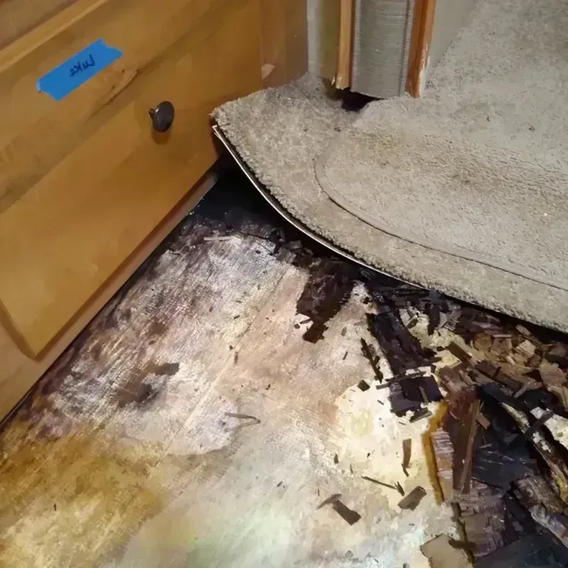 Best Wood Floor Water Damage Service in Charlotte, NC